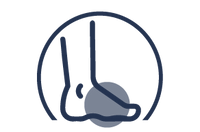 Metatarsal Protection